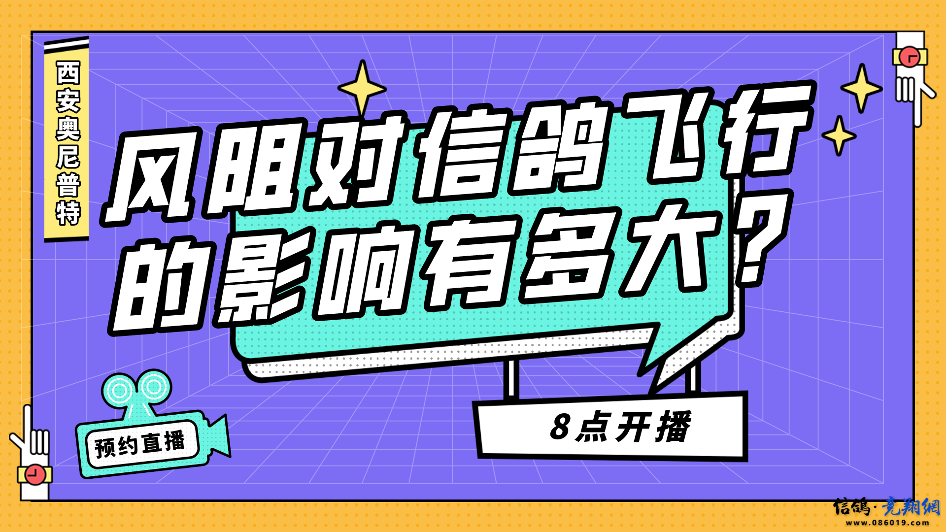 风阻对信鸽飞行的影响有多大？