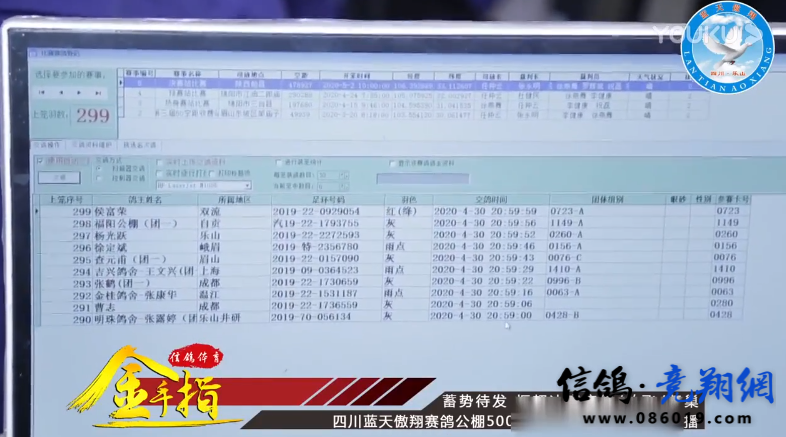 四川蓝天傲翔赛鸽公棚第三届总决赛视频集锦