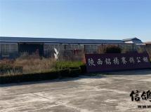 陕西铭扬赛鸽公棚120公里收费热点赛