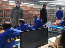 陕西壹佰第一关集鸽现场