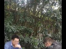 上海宝来富VIP俱乐部南路第一关300公里集鸽