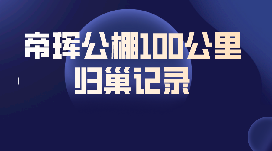 帝珲公棚100公里归巢记录