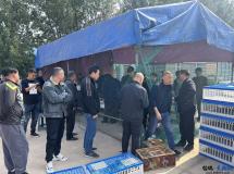 西安市未央区信鸽协会2025年秋未央鸽会特比首关500公里(神木)比赛